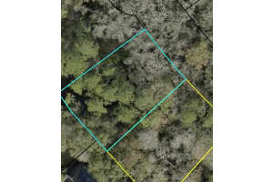 Xxx Z Section Drop Lot, PALM COAST