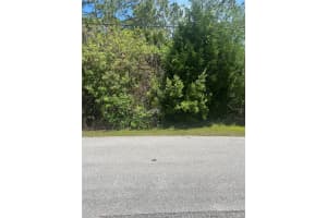 27 Birchwood Dr, PALM COAST