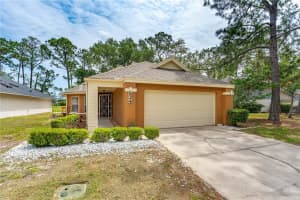 524 Crooked Stick Dr, DAYTONA BEACH