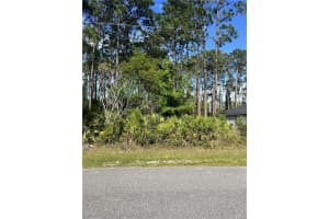 153 Ullian Trl, PALM COAST 153 Ullian Trl, PALM COAST
