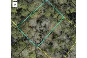 Xxx Z Section Drop Lot, PALM COAST Xxx Z Section Drop Lot, PALM COAST
