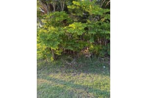 3 Largo Pl, PALM COAST