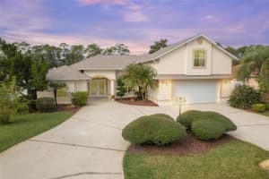 11 Zonal Geranium Ct, PALM COAST 11 Zonal Geranium Ct, PALM COAST