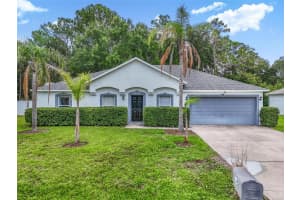 195 Parkview Dr, PALM COAST 195 Parkview Dr, PALM COAST