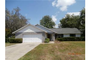 3975 Dora Wood Dr , MOUNT DORA