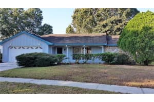 2141 Durham Ct, MOUNT DORA