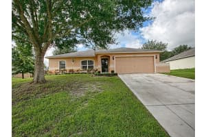 4006 Lake Bluff Dr, MASCOTTE