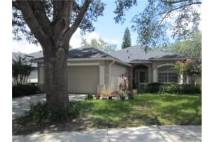 236 Hanging Moss Dr, OVIEDO