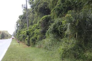 2900 Plymouth Oaks Rd, APOPKA
