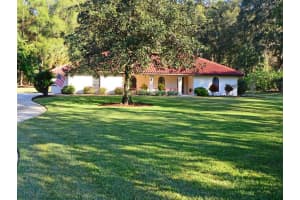 7225 Edmund Ct, MOUNT DORA