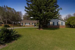 428 Laura Ln, MOUNT DORA