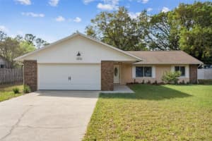 3020 Mary Ln, MOUNT DORA