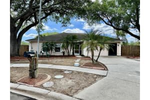 1104 Windhorst Ridge Dr, BRANDON