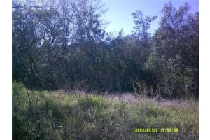 S Boggy Marsh Rd, CLERMONT