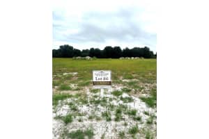 38797 Ranch Gate Blvd, UMATILLA 38797 Ranch Gate Blvd, UMATILLA