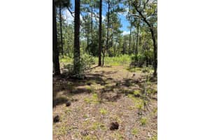 Tbd Sw 156th Ct, OCALA