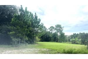 , GROVELAND