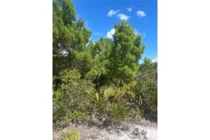 2228 Carla Ave, SEBRING