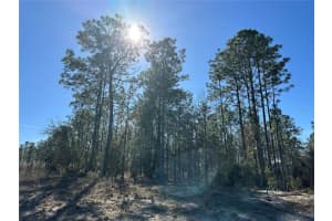 Sw 87th Ave, DUNNELLON