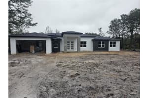 42200 Chinaberry St, EUSTIS 42200 Chinaberry St, EUSTIS