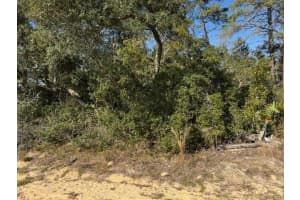 2567 Sw 176th Loop, OCALA