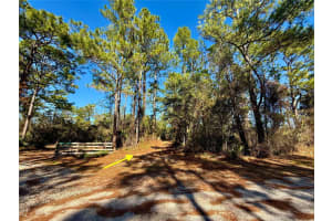 40001 Maggie Jones Rd, PAISLEY