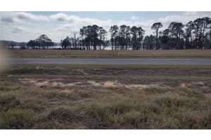 38401 Wooded Meadow Dr, UMATILLA 38401 Wooded Meadow Dr, UMATILLA