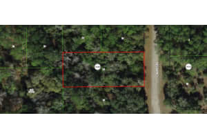 9188 N Tiffin Ter, DUNNELLON