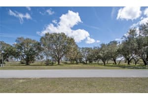 Royal Palm Dr, GROVELAND