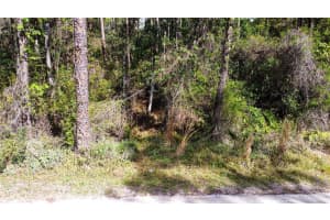 Quail Ranch Rd, NEW SMYRNA BEACH