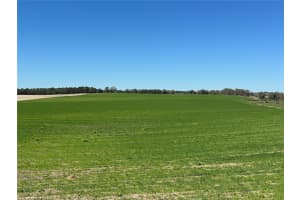 (190 Ac-see Addt'l Pid's) Nw 225th Ave, DUNNELLON (190 Ac-see Addt'l Pid's) Nw 225th Ave, DUNNELLON