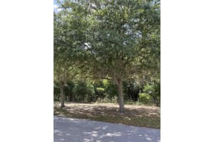 Tbd Grass Roots Rd, GROVELAND