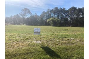 38518 Wooded Meadow Dr, UMATILLA 38518 Wooded Meadow Dr, UMATILLA