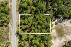 Sw 41st Cir, OCALA