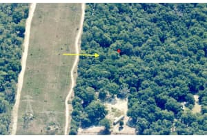 Track 28 Sw 150th St, DUNNELLON