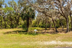3117 Bright Lake Cir #lot 63, GROVELAND