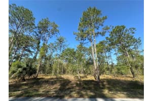 Nw Narcissus Rd, DUNNELLON