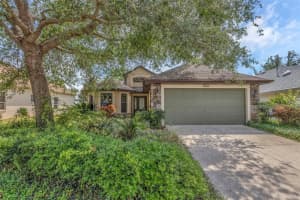 8167 Bridgeport Bay Cir, MOUNT DORA