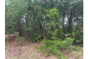 Nw 17th St, OCALA