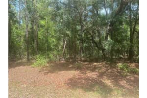8729 N Wallingford Ave, DUNNELLON