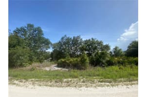2511 W Tarkenton Rd, AVON PARK