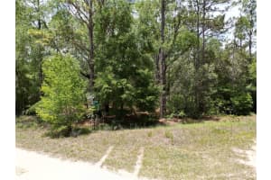 0000 Sw 159th Ave Rd, OCALA