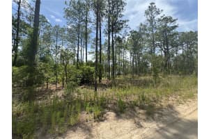 0000 Sw 157th Ave, OCALA