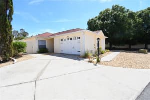 1325 Balboa Ct, THE VILLAGES