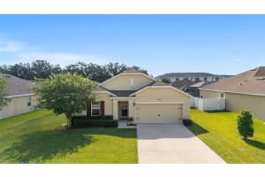 9785 Pepper Tree Trl, WILDWOOD