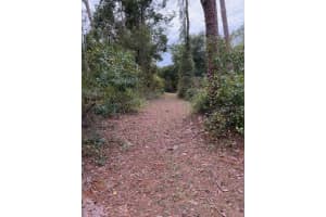 15518 State Road 19, GROVELAND