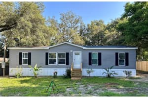 207 Skyline Dr, LADY LAKE