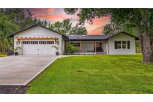 15520 Vinola Dr, MONTVERDE