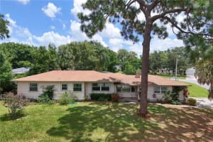1510 Overlook Dr, MOUNT DORA