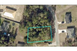 Sw 135 Loop, OCALA